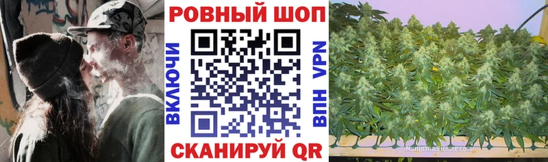 Какие есть наркотики Находка Псилоцибиновые грибы АМФЕТАМИН Конопля A PVP