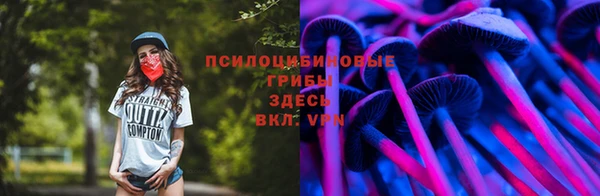 винт Алексин