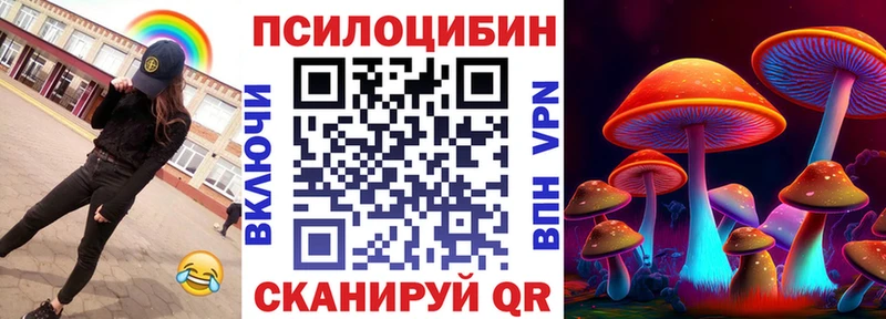 купить наркоту  Находка  darknet как зайти  Галлюциногенные грибы MAGIC MUSHROOMS 