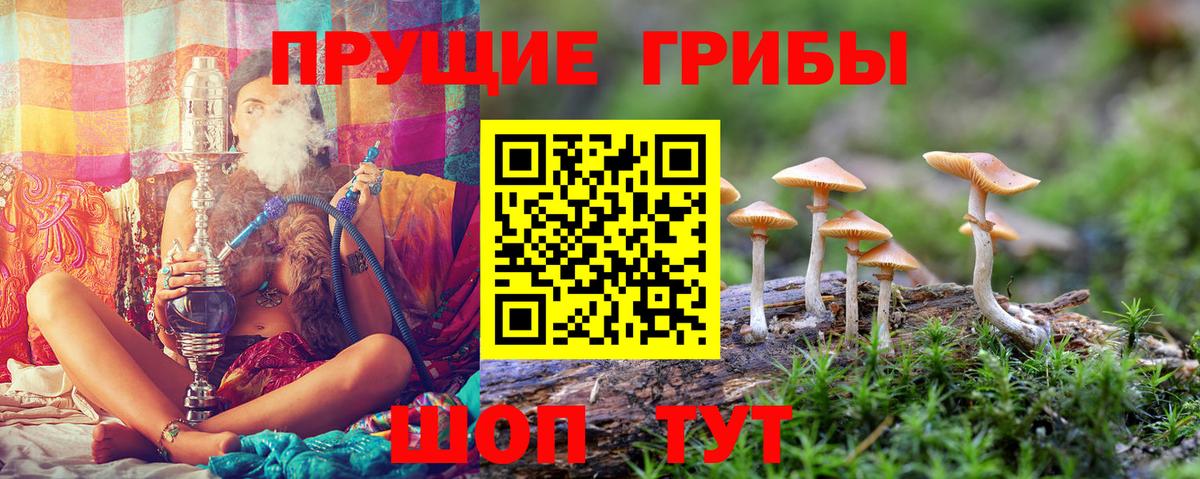 Галлюциногенные грибы мухоморы Находка
