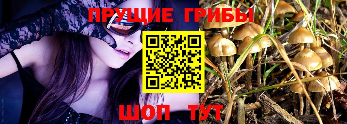 Галлюциногенные грибы MAGIC MUSHROOMS  Вход с VPN  Галлюциногенные грибы ЛСД  Находка 